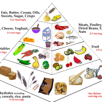 FoodPyramidMain1
